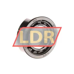 SKF NU1005