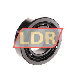 SKF NU1005 rulman resim 3