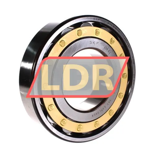 SKF N319ECM/C3