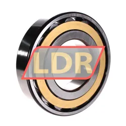 SKF N319ECM/C3 rulman resim 2