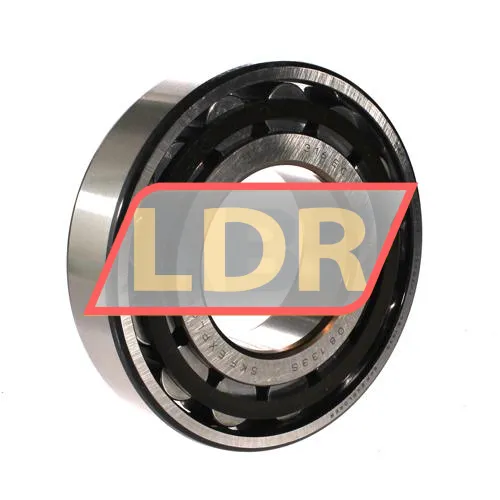 SKF N316ECP/C3