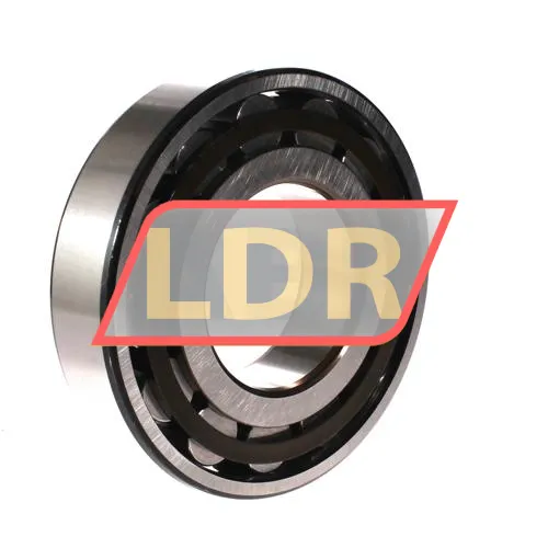 SKF N316ECP/C3 ürün fotoğrafı 2