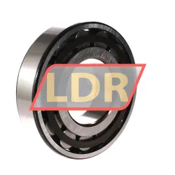 SKF N316ECP/C3 rulman resim 2