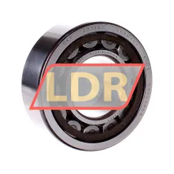 SKF NU2313ECP/C3