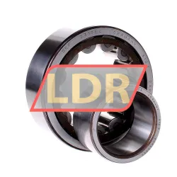 SKF NU2313ECP/C3 rulman resim 2
