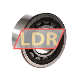 SKF NU2312ECP/C3