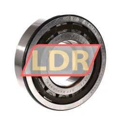 SKF NUP314ECP