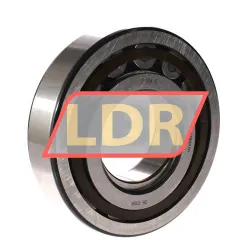 SKF NUP314ECP rulman resim 2
