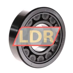 SKF NU309ECJ