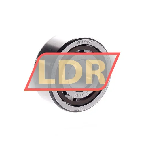 SKF NJ2304ECP