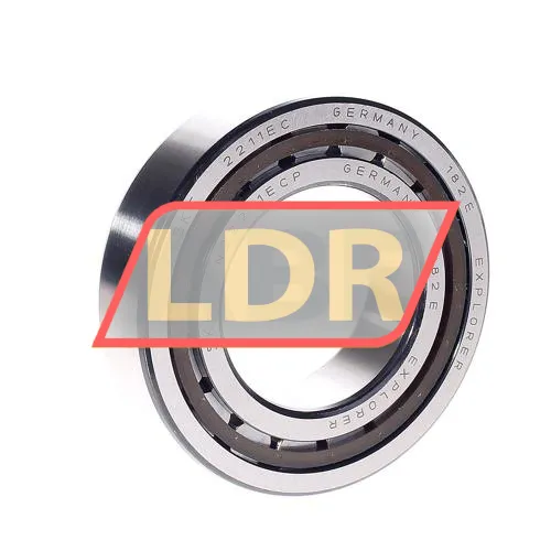 SKF NJ2211ECP