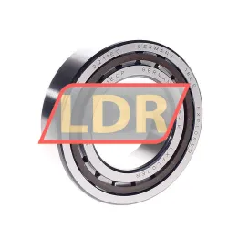 SKF NJ2211ECP