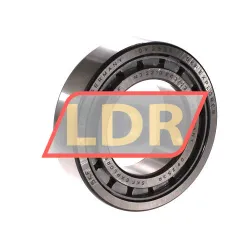 SKF NJ2210ECJ/C3