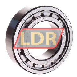SKF NJ2210ECJ