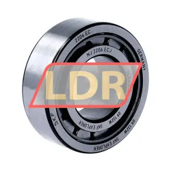 SKF NJ2206ECJ