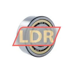 SKF NJ2311ECML/C4