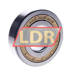 SKF NUP308ECM/C3