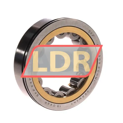 SKF RNU309ECNML