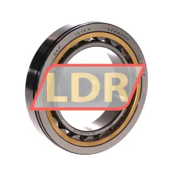 SKF NU1014NML/C3