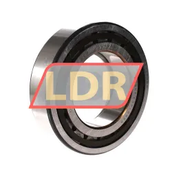 SKF NUP2218ECP