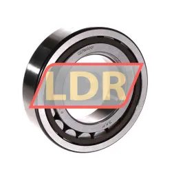 SKF NUP2211ECP rulman resim 2