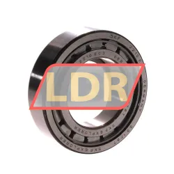 SKF NUP2210ECJ