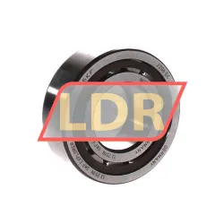 SKF NUP2206ECP