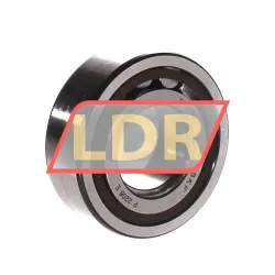SKF NUP2206ECP rulman resim 2