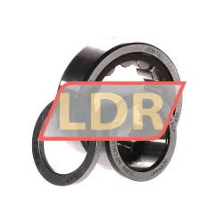 SKF NUP2206ECP rulman resim 3