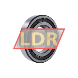 SKF NUP218ECP