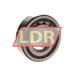 SKF NUP206ECP/C3