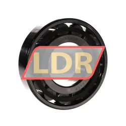 SKF N314ECP/C3