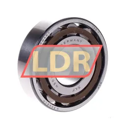 SKF N306ECP