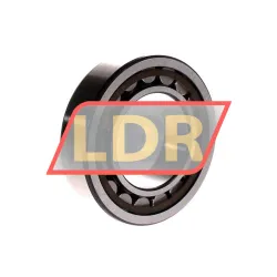 SKF NU2211ECP/C3 rulman resim 2