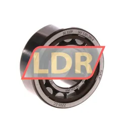 SKF NU2205ECP