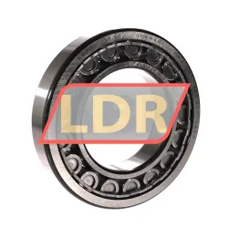 SKF NU219ECJ