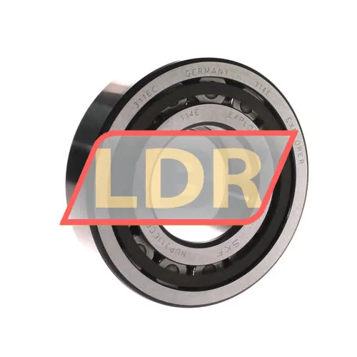 SKF NUP311ECP