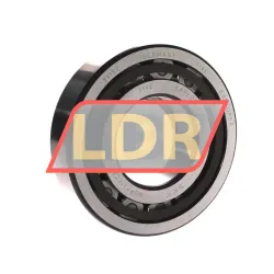 SKF NUP311ECP