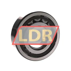 SKF NUP311ECP rulman resim 2