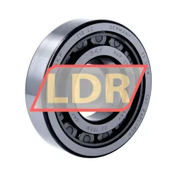 SKF NUP310ECJ