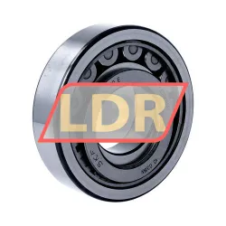 SKF NUP310ECJ rulman resim 2