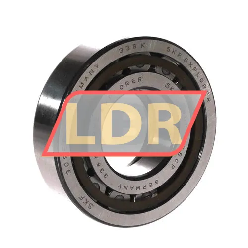 SKF NUP309ECP