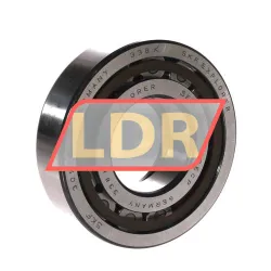 SKF NUP309ECP
