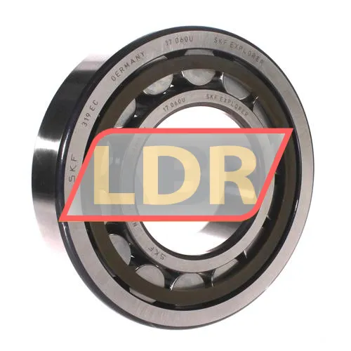 SKF NU319ECP