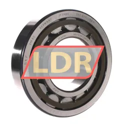 SKF NU319ECP