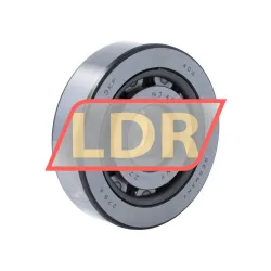 SKF NJ406
