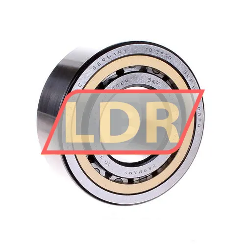 SKF NJ2310ECML/C4