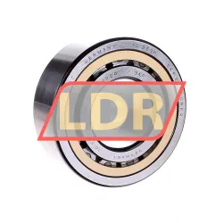 SKF NJ2310ECML/C4