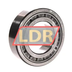 SKF NJ2213ECJ