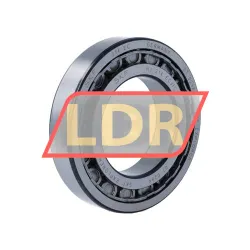 SKF NJ214ECJ/C3